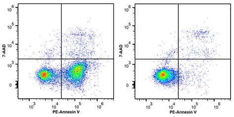 apoptosis assay elisa kit|apoptosis detection kit flow cytometry.